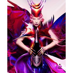 Edition limitée Dom Pérignon X Lady Gaga
